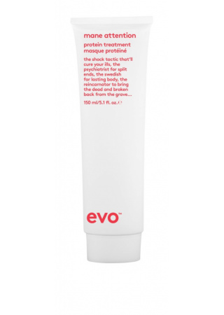 EVO - Mane attention protein treatment