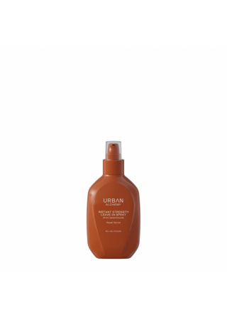 Urban Alchemy Beyond Care Repair Leave-in Spray